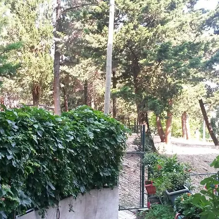 Anamarija Apartman Dubrovnik Exterior photo